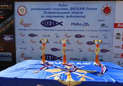 Выловленную рыбу… отпустили в воду
