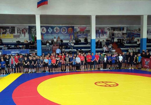 На ковер выходили 100 борцов