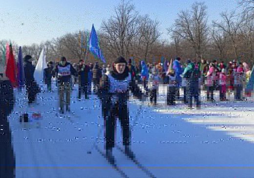 В солнечный день студенты встали на лыжи