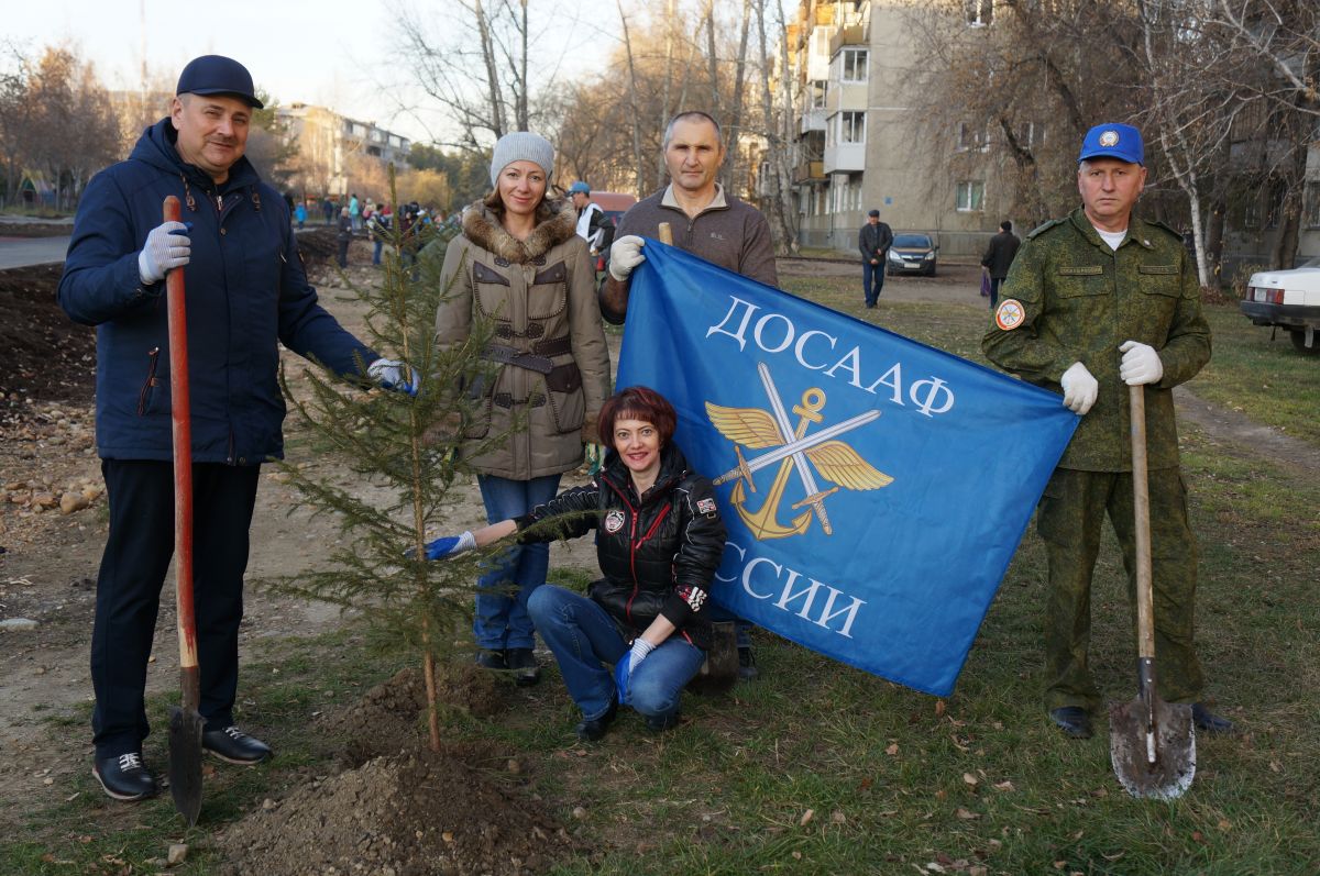 «Посади дерево»