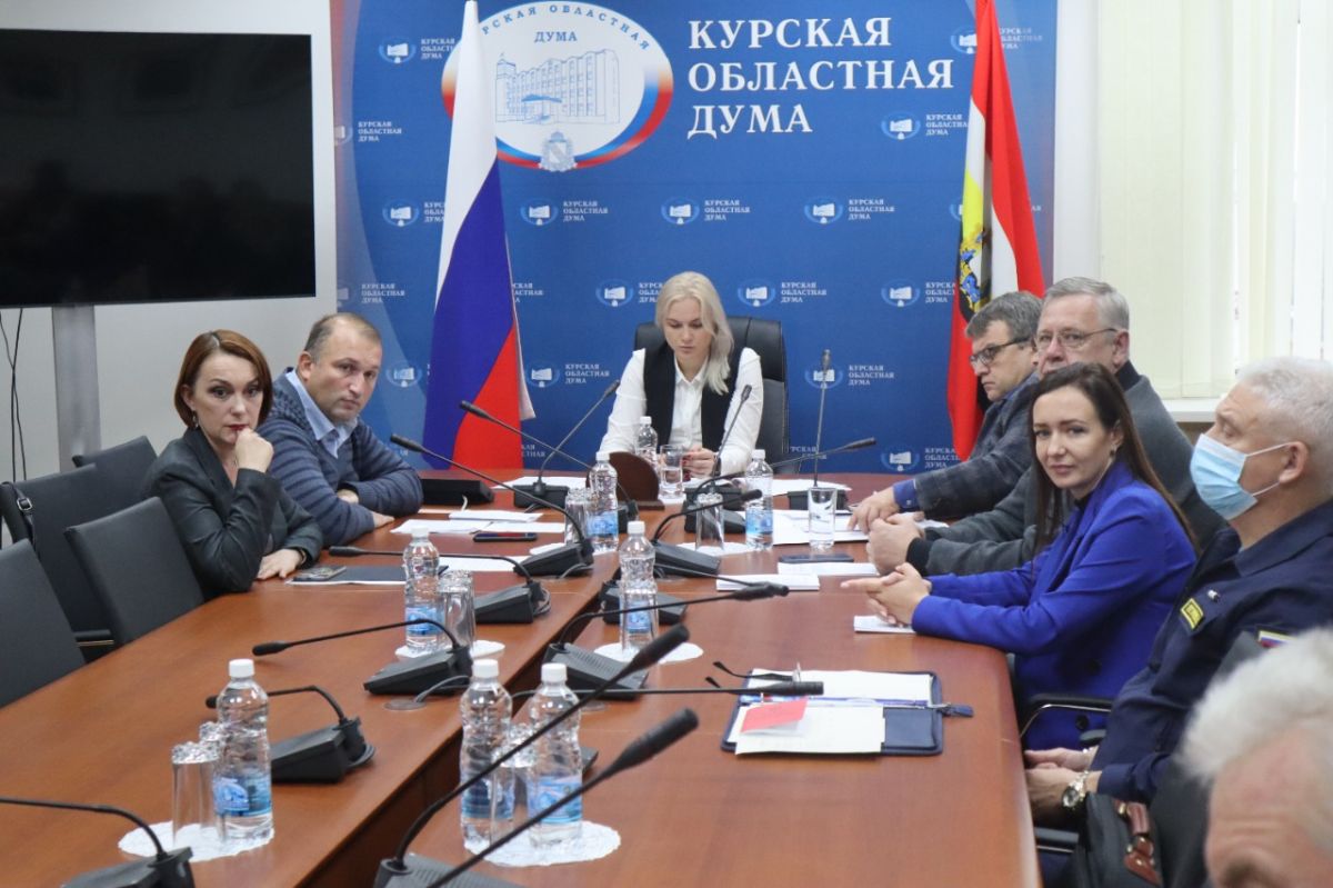 Курские депутаты поддержали обращение в Совет Федерации