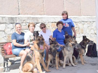 День фронтовой собаки отметили в Севастополе