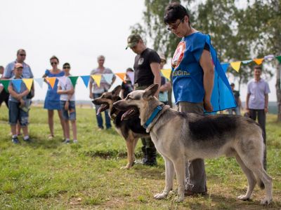 Состоялось открытие второго Международного кинологического конкурса «Верный друг» в Подмосковье