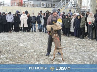 Служебное собаководство ДОСААФ: от традиций — к профессии