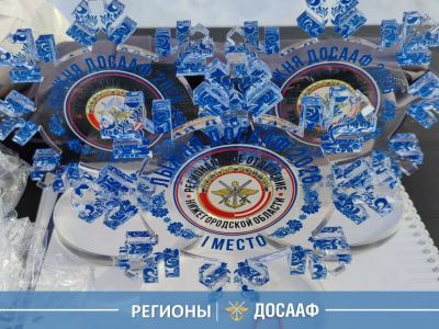 Регионы активно проводят «ДОСААФовскую лыжню — 2026». Работа идёт по всей стране.