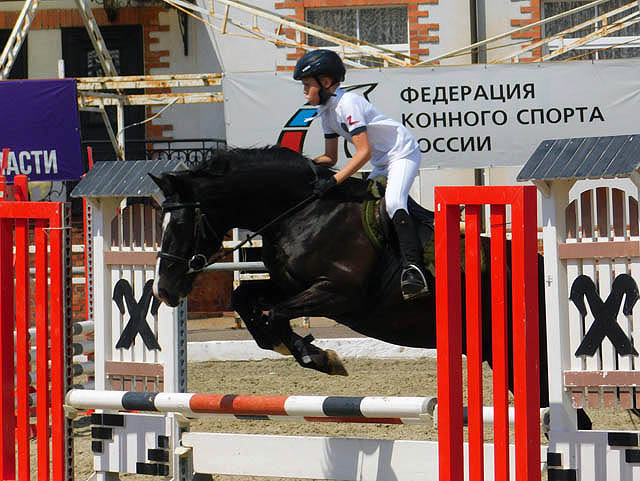 На манеже «Георгенбурга» прошел IV турнир на Кубок Регионального отделения ДОСААФ по конному спорту