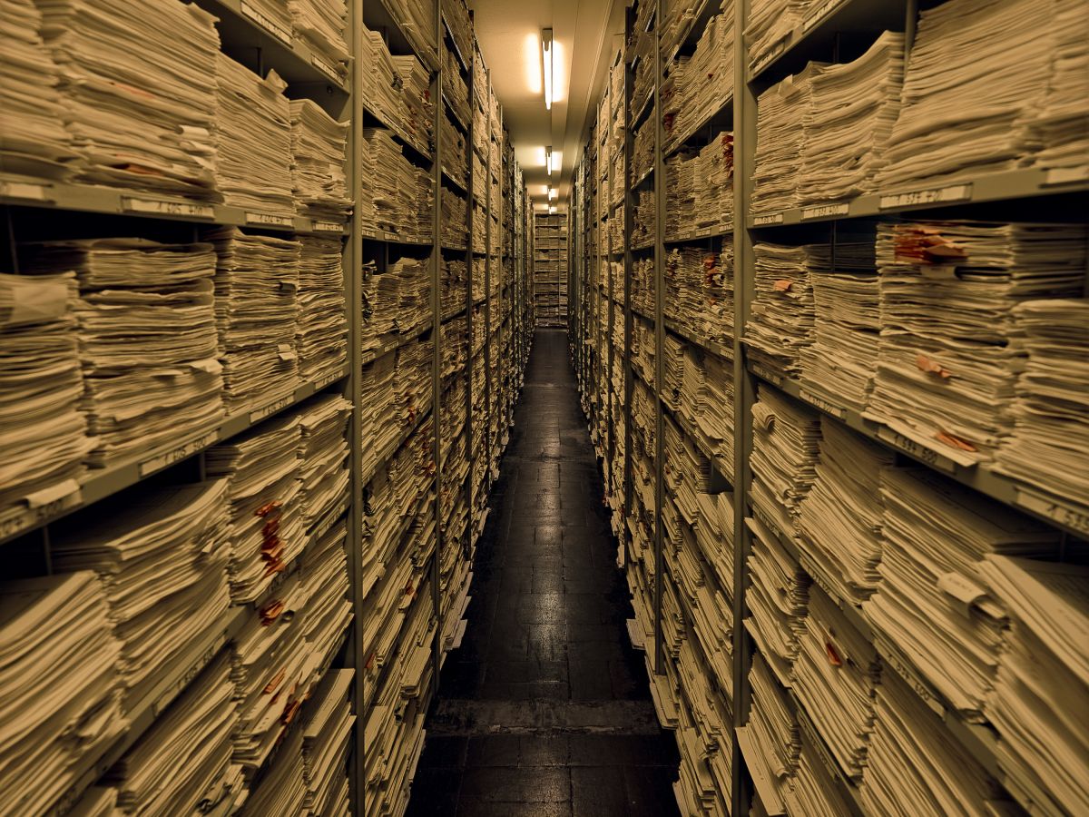 ДОСААФ готово принять участие в создании комплекса архивных документов по Второй мировой войне