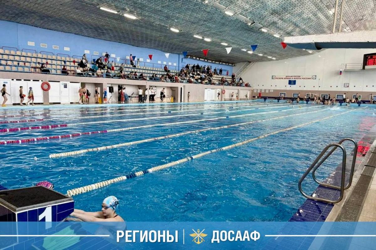 300 спортсменов на старте: в Брянске прошло Первенство области по плаванию в ластах