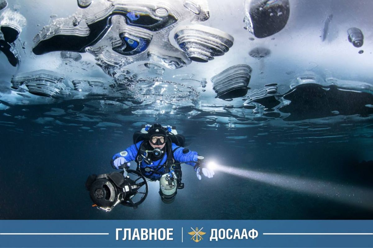 Учебно-методический центр подводной подготовки ДОСААФ России: где рождаются профессионалы глубины