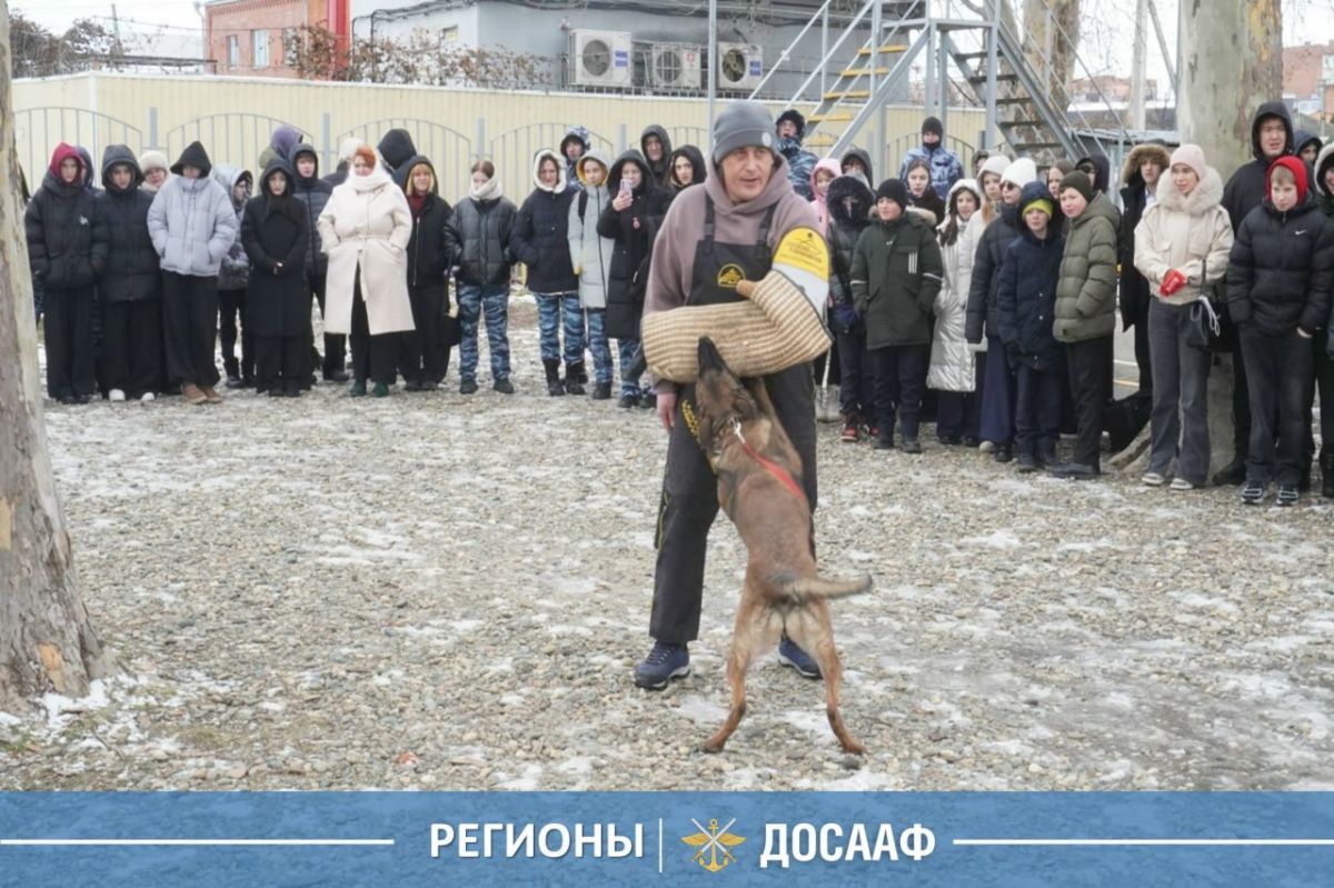 Служебное собаководство ДОСААФ: от традиций — к профессии