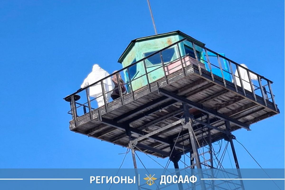 По следам настоящих защитников ❄️