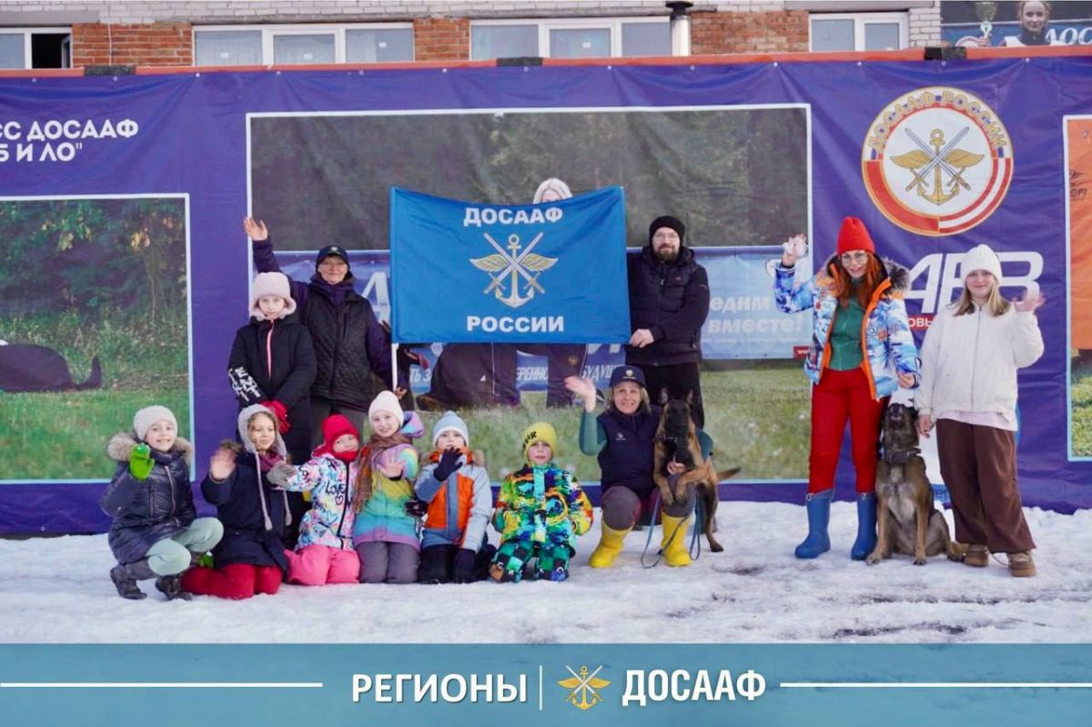 Как работают служебные собаки: школьники побывали на тренировке кинологов ДОСААФ