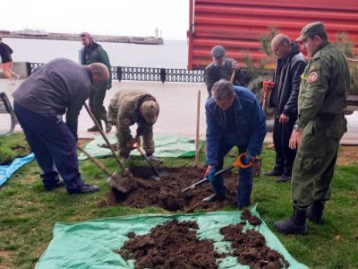 В честь 60-летия полета Юрия Гагарина в Ялте высадили сосну