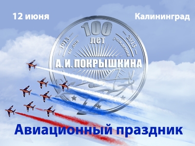 ДОСААФ России отметит День России авиационным шоу в Калининграде
