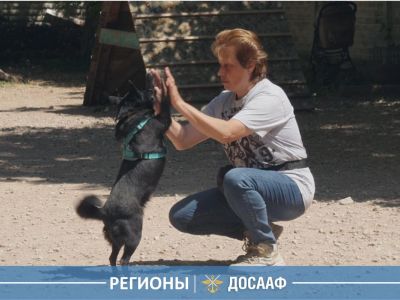 Кинологический центр ДОСААФ Севастополя: от общего курса дрессировки до специальной подготовки