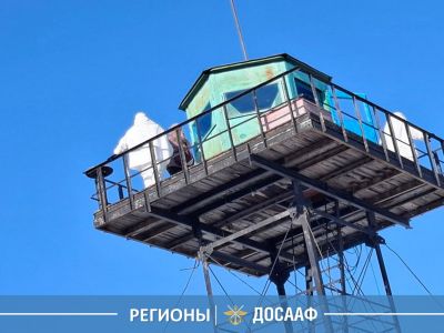 По следам настоящих защитников ❄️